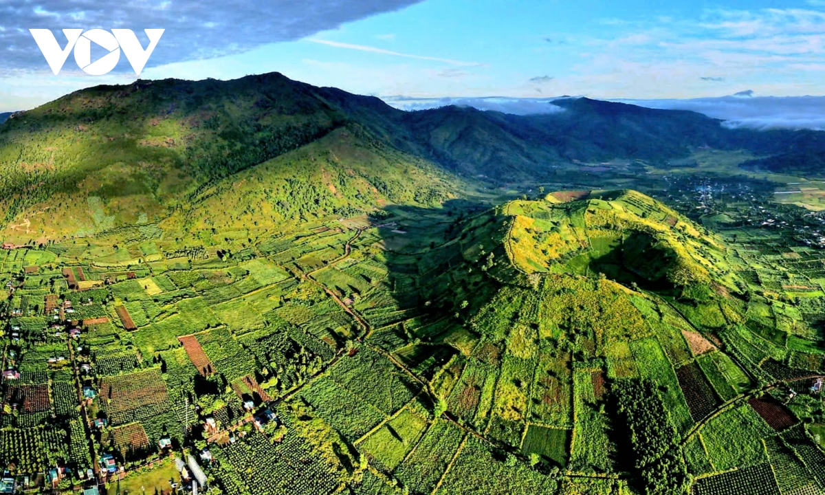 Ngắm sắc v&agrave;ng rực rỡ của d&atilde; quỳ Chư Đang Ya- Ảnh 1.