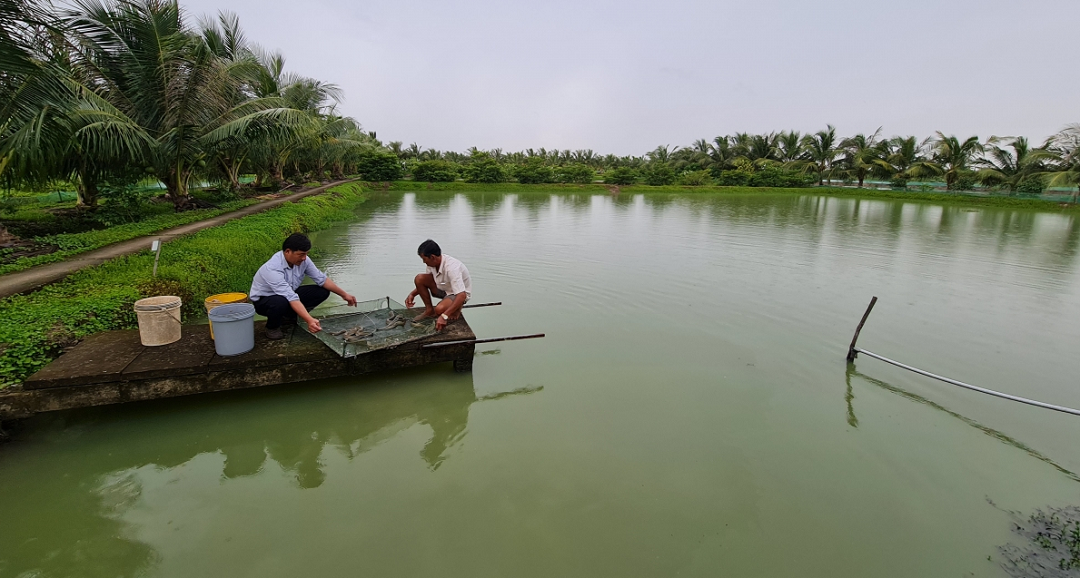 Bỏ phố về quê nuôi con vật to bự "hiền như đất", anh nông dân thu về 4 tỷ đồng- Ảnh 4.