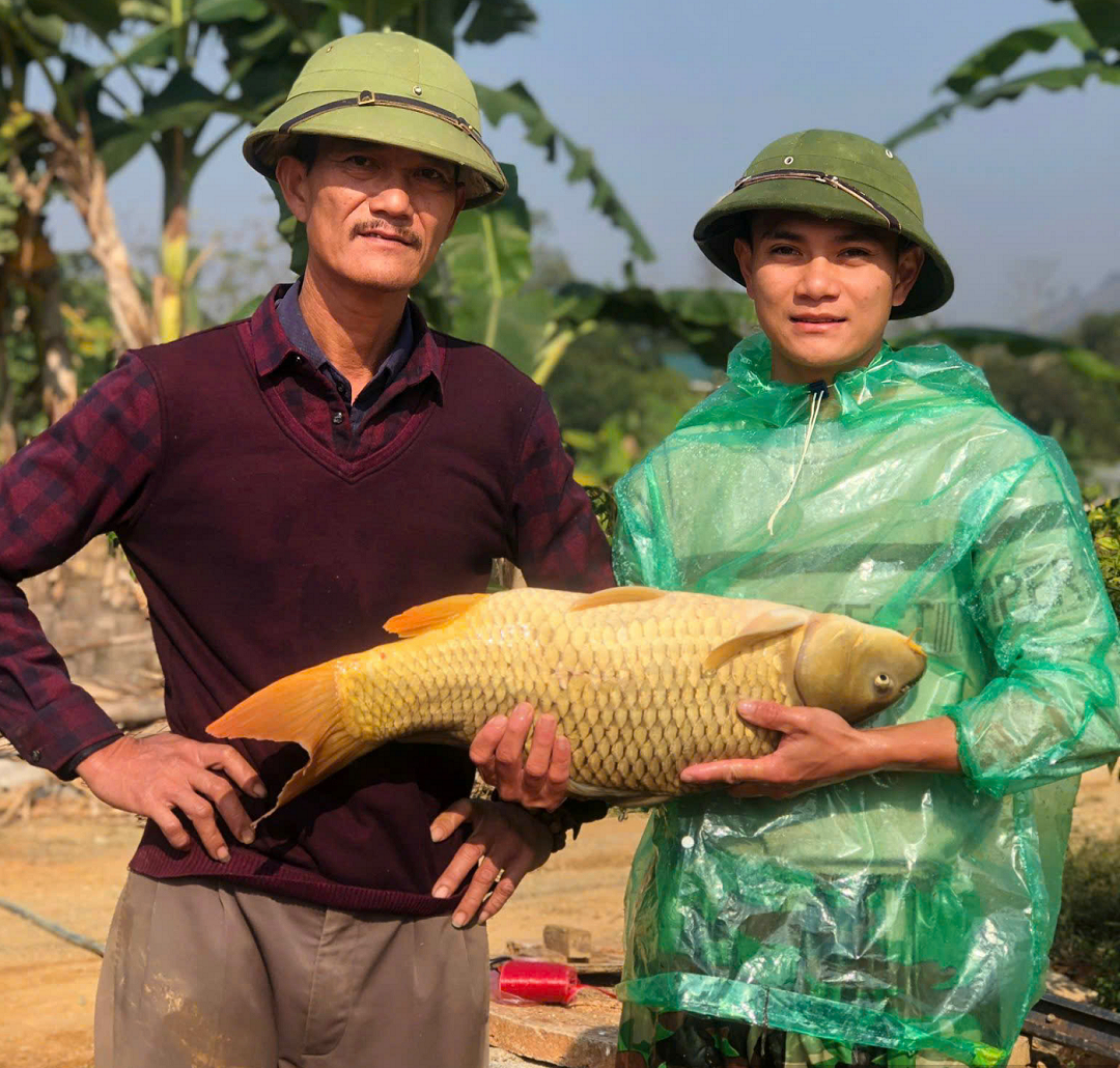 Bỏ phố về quê nuôi con vật to bự "hiền như đất", anh nông dân thu về 4 tỷ đồng- Ảnh 1.