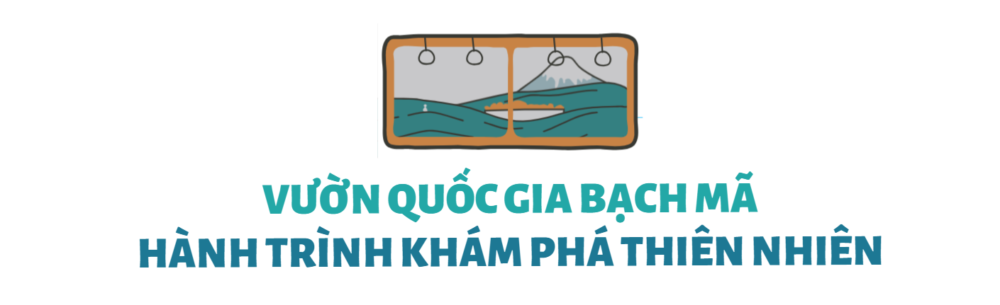 Tuyến đường sắt 100km được mệnh danh đẹp nhất Việt Nam: Lưng tựa núi, mặt giáp biển, vé chỉ từ 80 nghìn VNĐ- Ảnh 5.