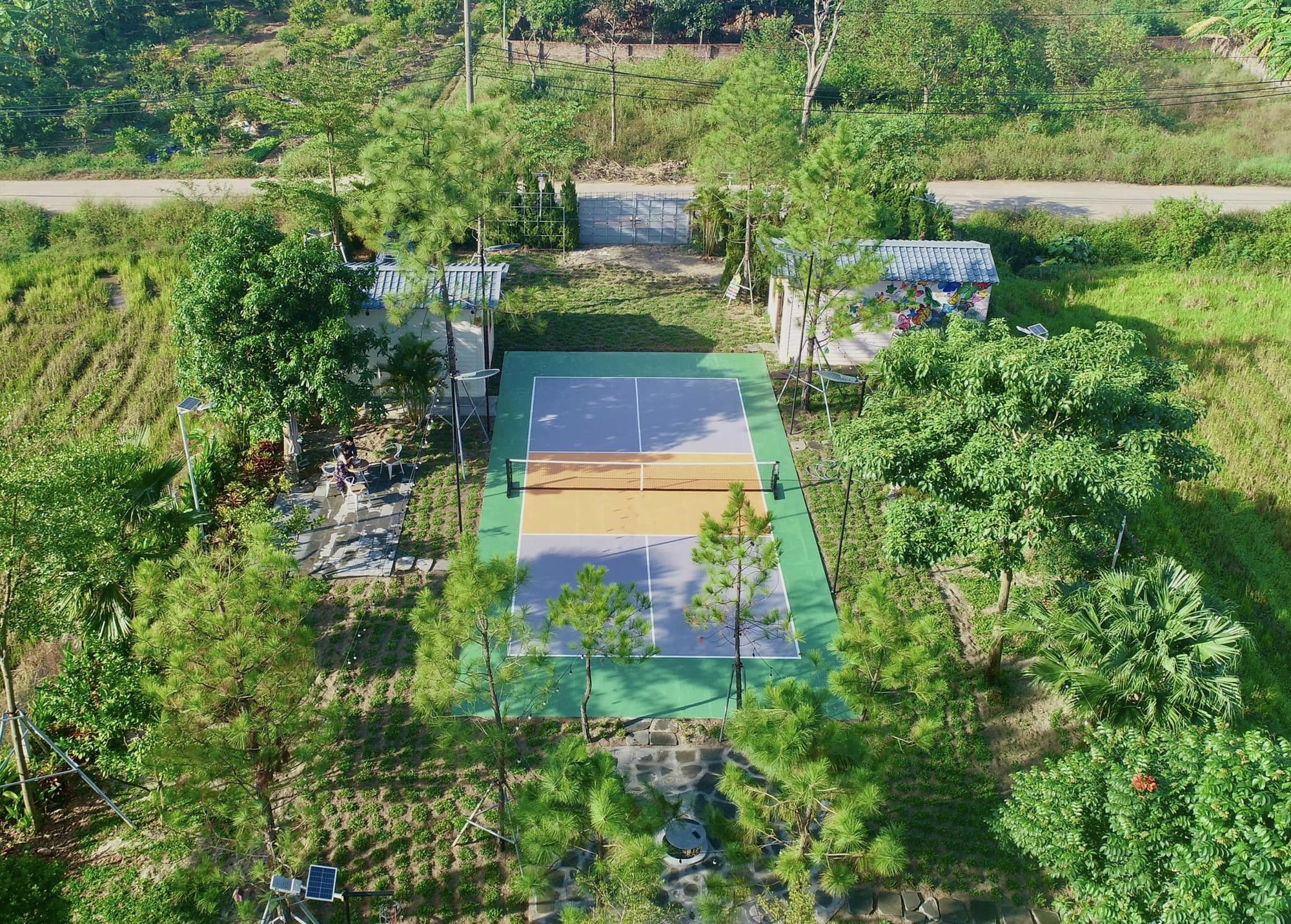 Thấy gì từ việc chủ villa, homestay chi hàng trăm triệu mở sân pickleball?- Ảnh 14.