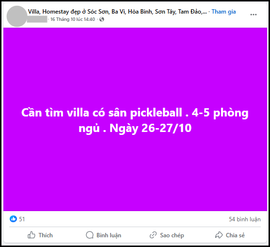 Thấy gì từ việc chủ villa, homestay chi hàng trăm triệu mở sân pickleball?- Ảnh 5.