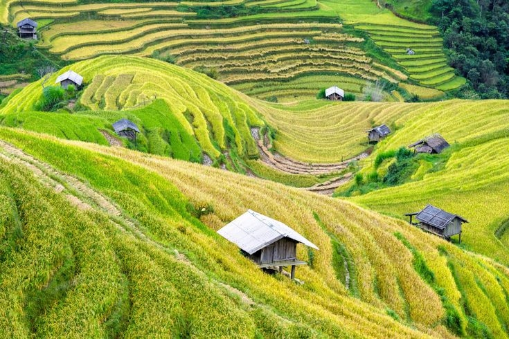 Hóa ra đây là nơi ở của Quân Già trong "Độc Đạo": Căn villa trên đỉnh đồi cách Hà Nội 150km, giá thuê 28 triệu/đêm- Ảnh 26.