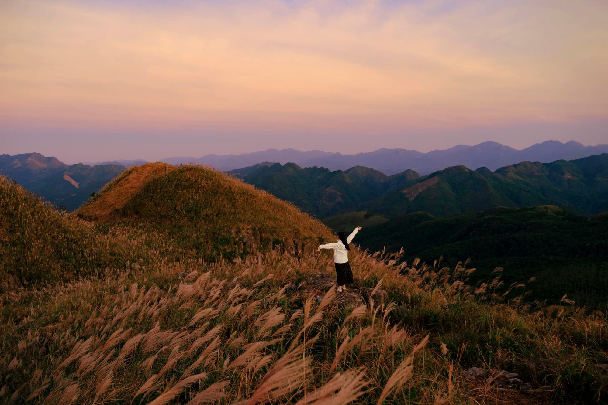 "Biển người" chen chúc trên đỉnh đồi cỏ lau cực hot ở Quảng Ninh- Ảnh 20.