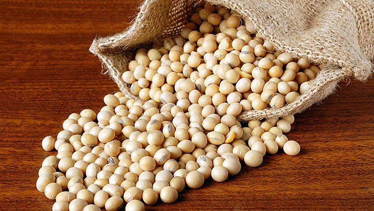 Loại hạt màu vàng giàu protein gấp đôi hạt chia, giá không quá 30.000 đồng/kg, tốt cho xương và tim- Ảnh 2.