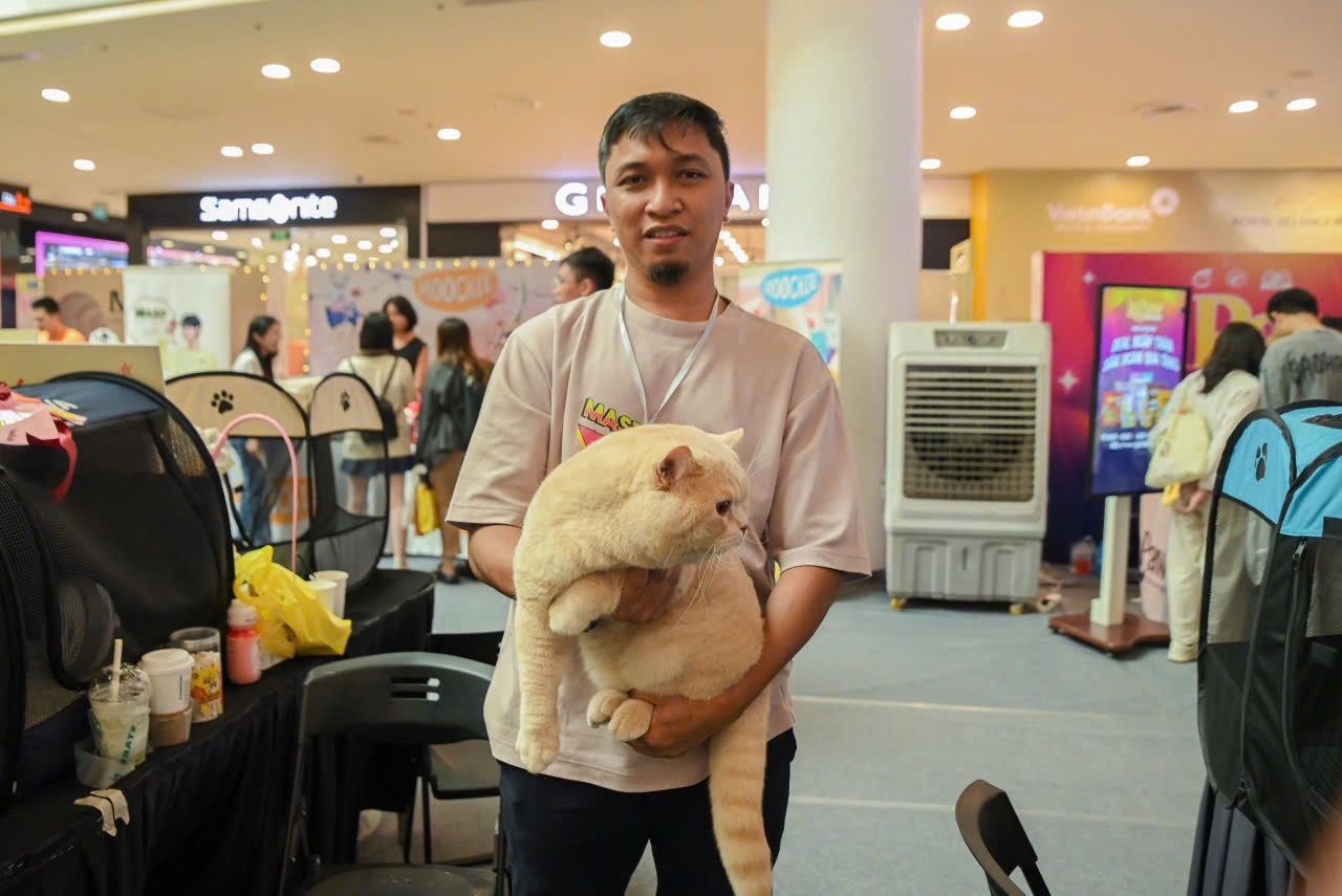 Con m&egrave;o trị gi&aacute; 500 triệu đồng ở H&agrave; Nội c&oacute; g&igrave; đặc biệt m&agrave; được săn đ&oacute;n như ng&ocirc;i sao?- Ảnh 6.