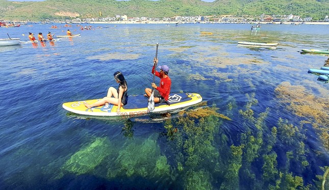 Đề xuất thí điểm du lịch bằng thủy phi cơ ở Bình Định- Ảnh 1.