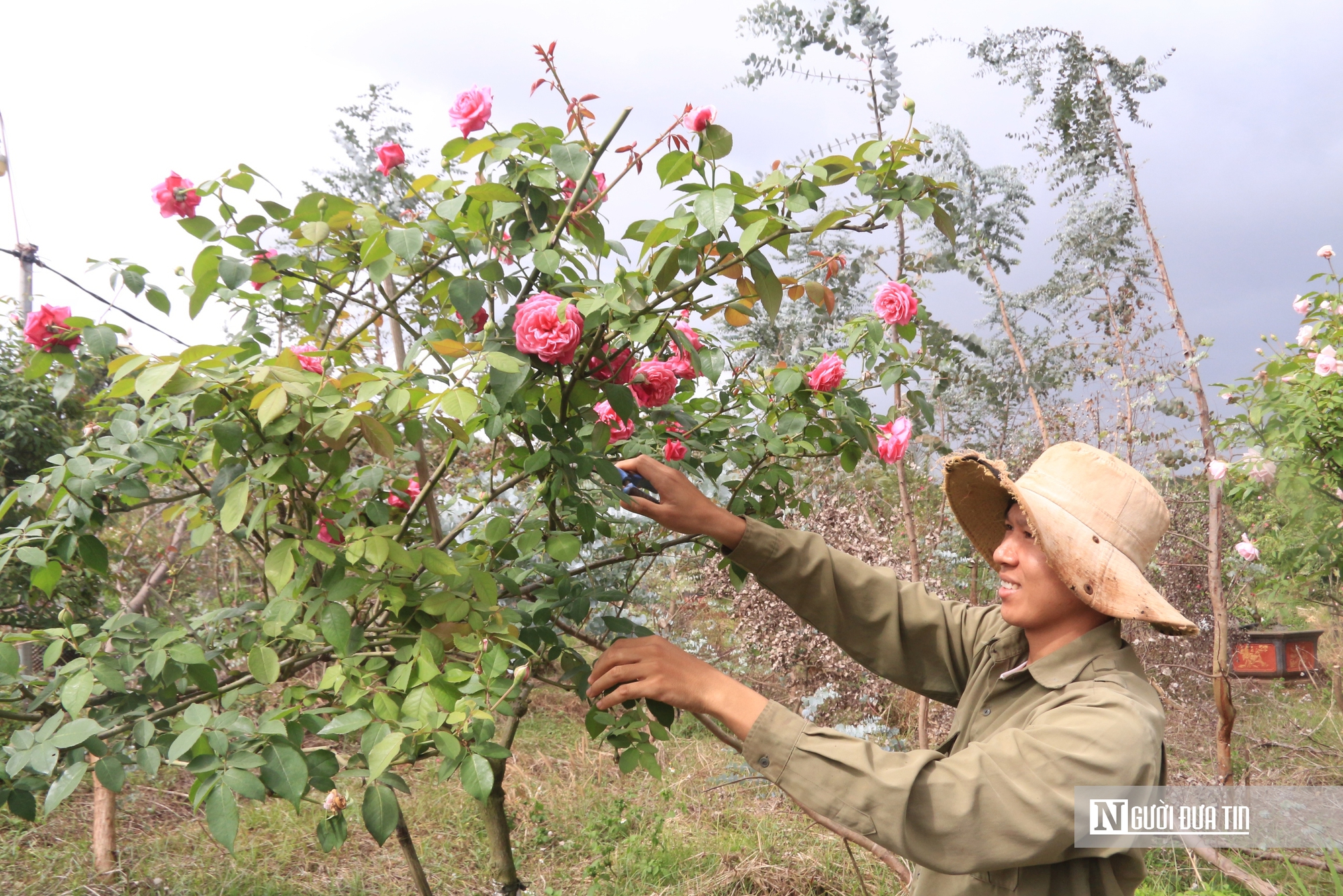 Khởi nghiệp từ những món quà tặng mẹ, chàng trai 9X mang về doanh thu “khủng”- Ảnh 2.