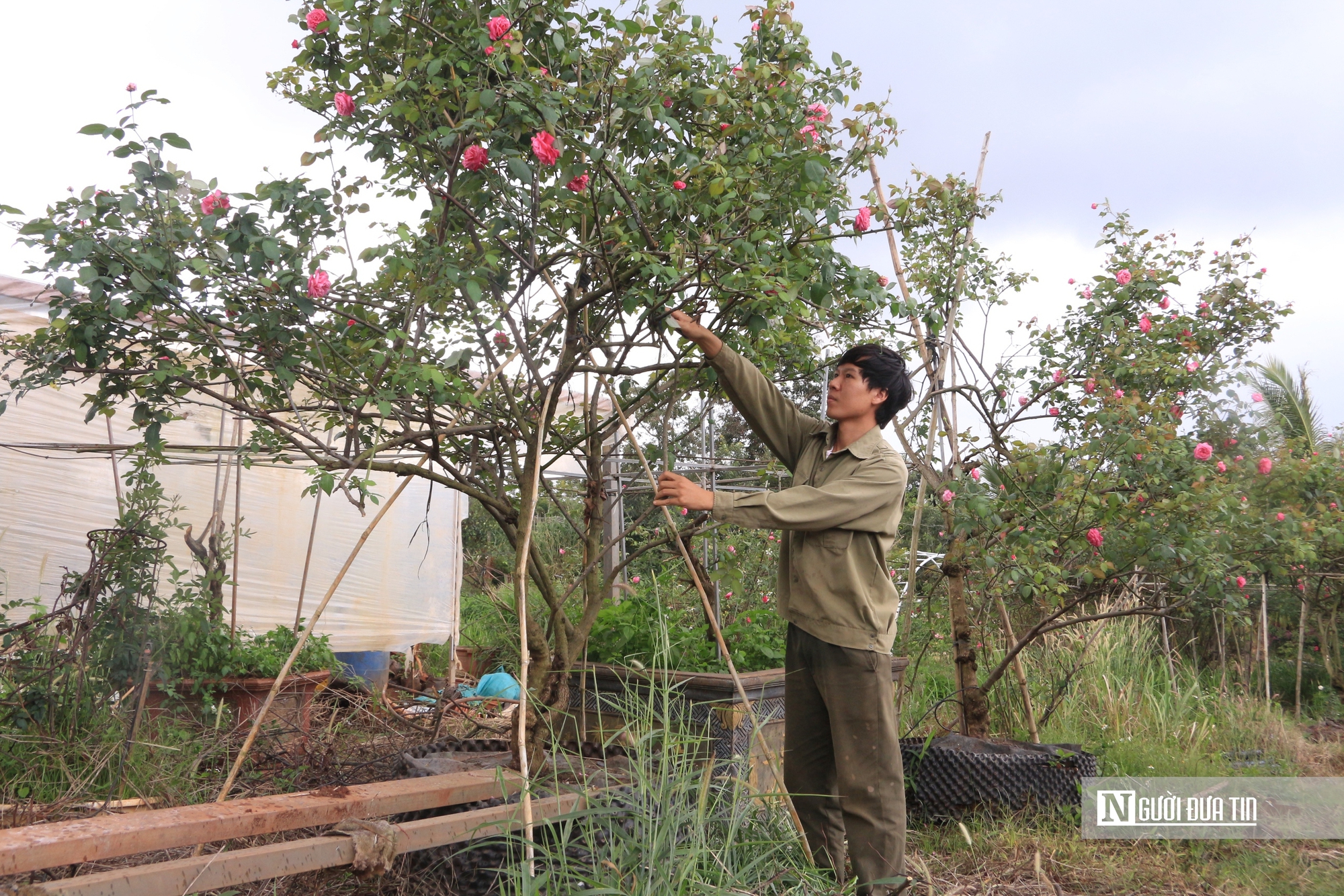 Khởi nghiệp từ những món quà tặng mẹ, chàng trai 9X mang về doanh thu “khủng”- Ảnh 7.