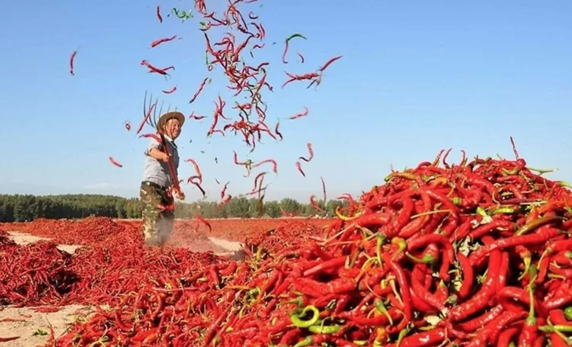 Loại quả bé nhỏ của Việt Nam được hai nước Trung Quốc, Lào mua mạnh: Hóa ra có nhiều lợi ích- Ảnh 1.