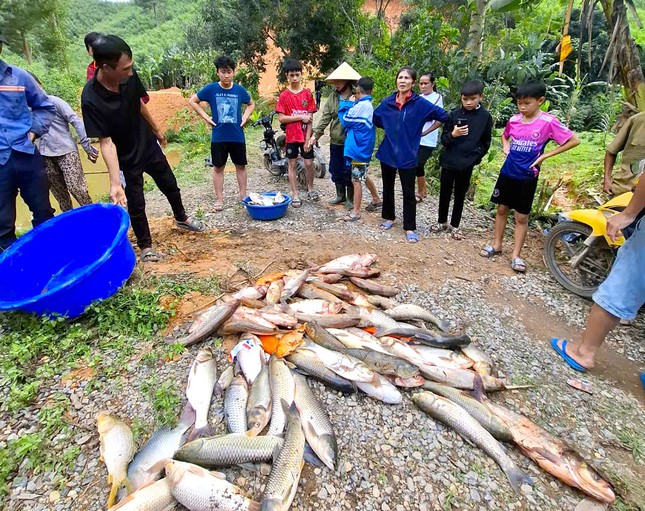 Vụ cá trong 4 ao chết hàng loạt: Đầu độc ao cá vì mâu thuẫn với hàng xóm- Ảnh 2.