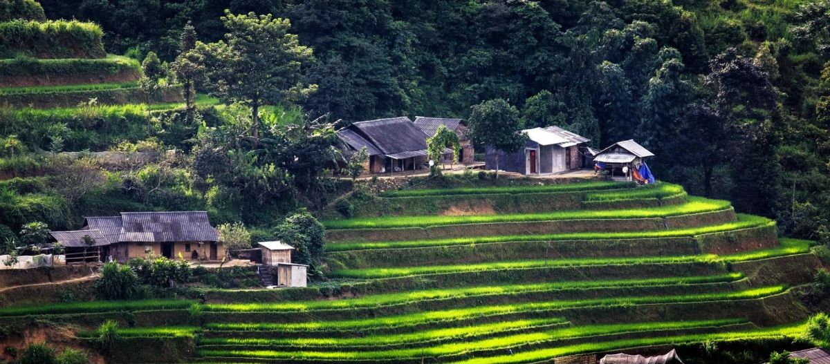 Việt Nam có 1 bản nhỏ “trên trời”, nép mình bên dãy Hoàng Liên Sơn: Tiên cảnh giữa vùng sơn cước, chỉ cách trung tâm Sapa 5km- Ảnh 5.