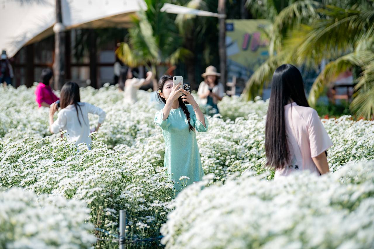 Ngỡ ngàng vườn cúc họa mi bung nở trắng xóa ở Hà Nội: Giới trẻ rủ nhau dậy sớm, mang 5 bộ đồ đi check-in- Ảnh 15.