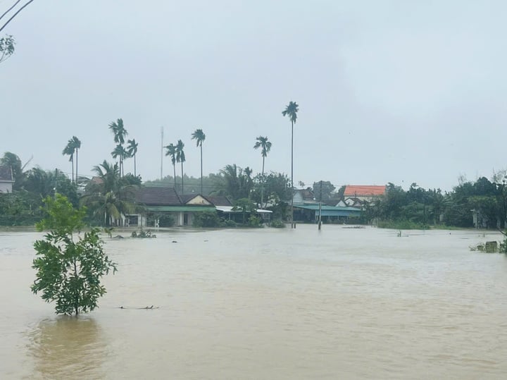 Nhiều nhà dân ở Quảng Ngãi chìm trong biển nước, miền núi sạt lở- Ảnh 5.