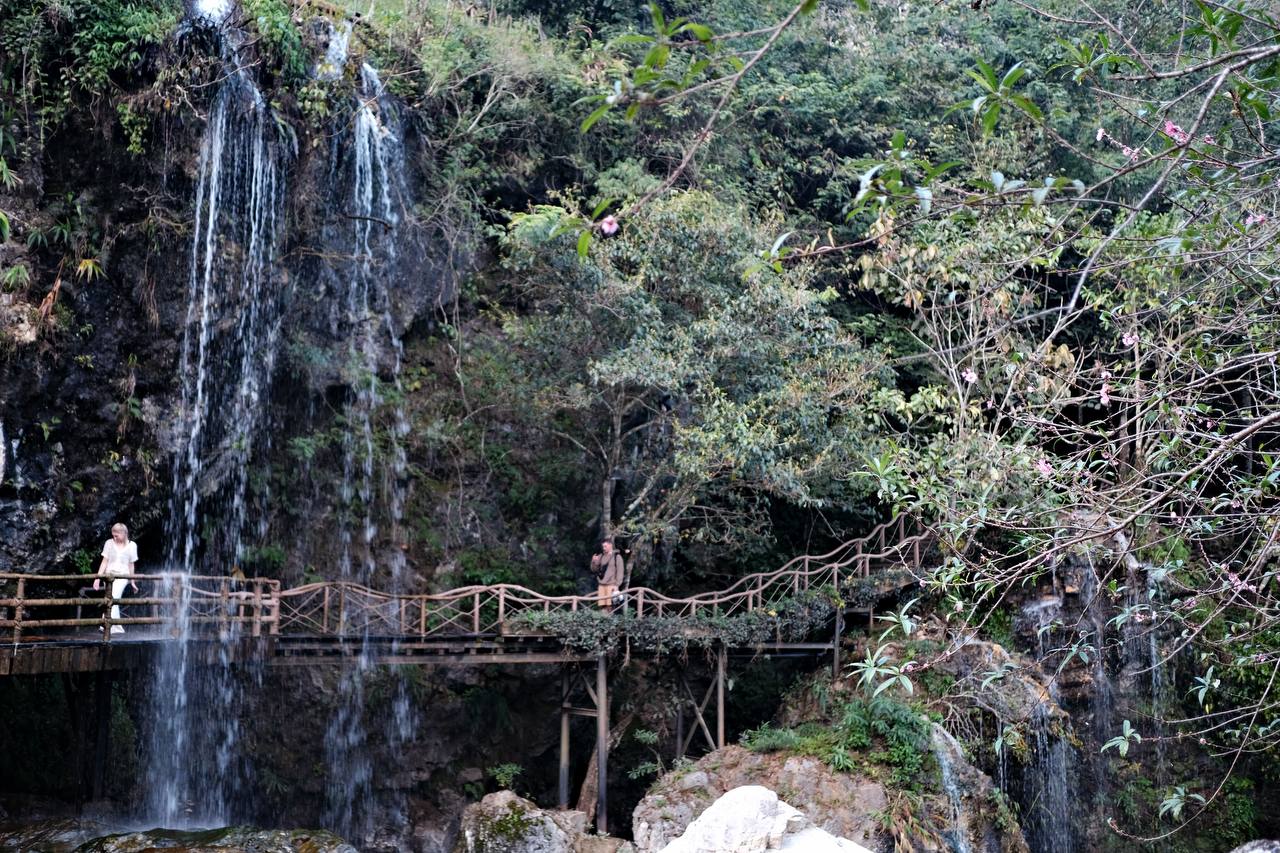 Sa Pa mùa này đầy mới mẻ: Lạc bước ở Bản Mây, đắm chìm trong vườn sen đá khổng lồ và vẻ đẹp "vô thực" của thiên nhiên- Ảnh 11.