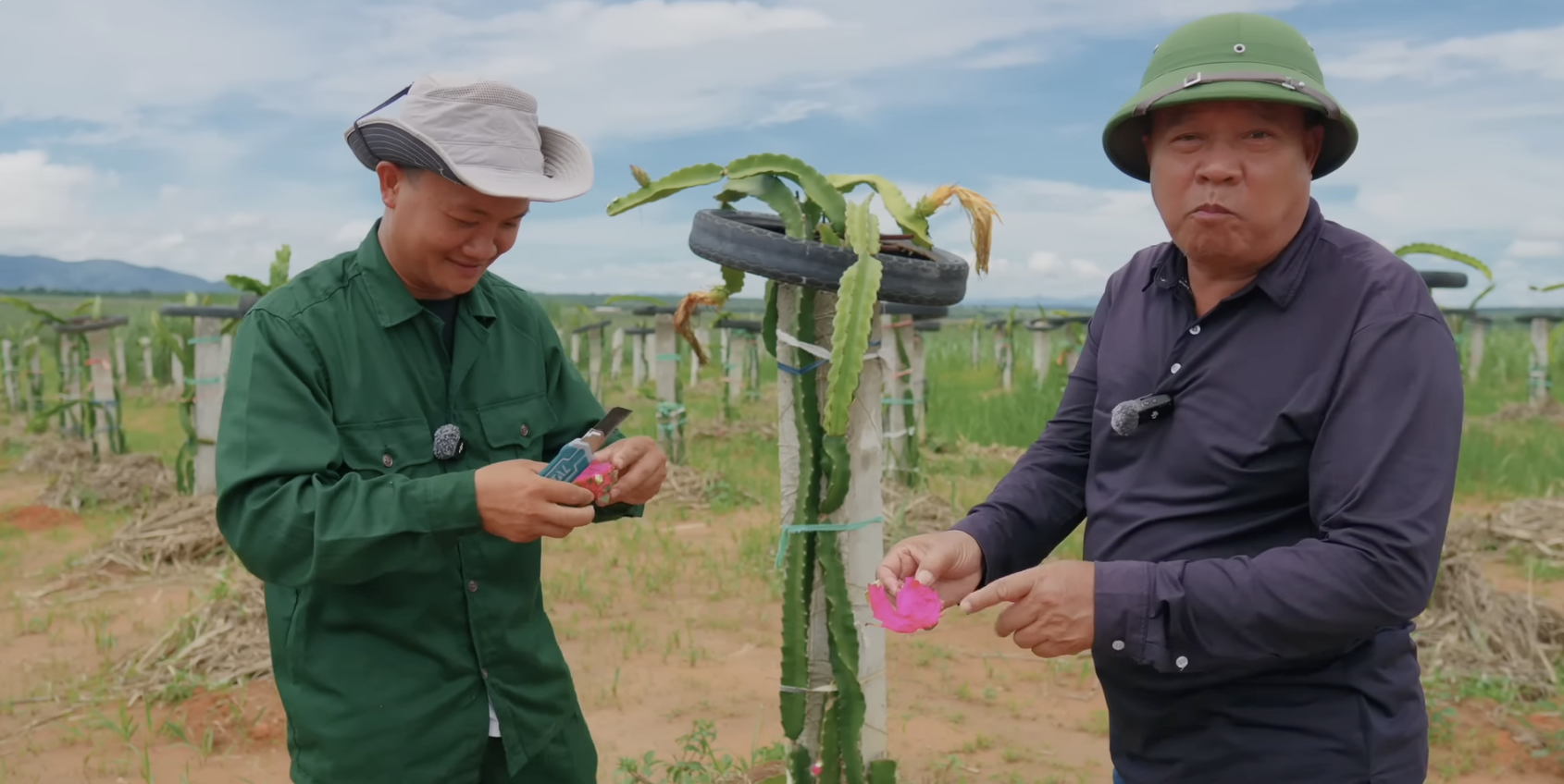 Quang Linh Vlogs trồng thanh long gần 2 năm chỉ mong nhân giống, đúng vụ thu hoạch gặp ngay bố Quý và cái kết “cảm lạnh”- Ảnh 2.