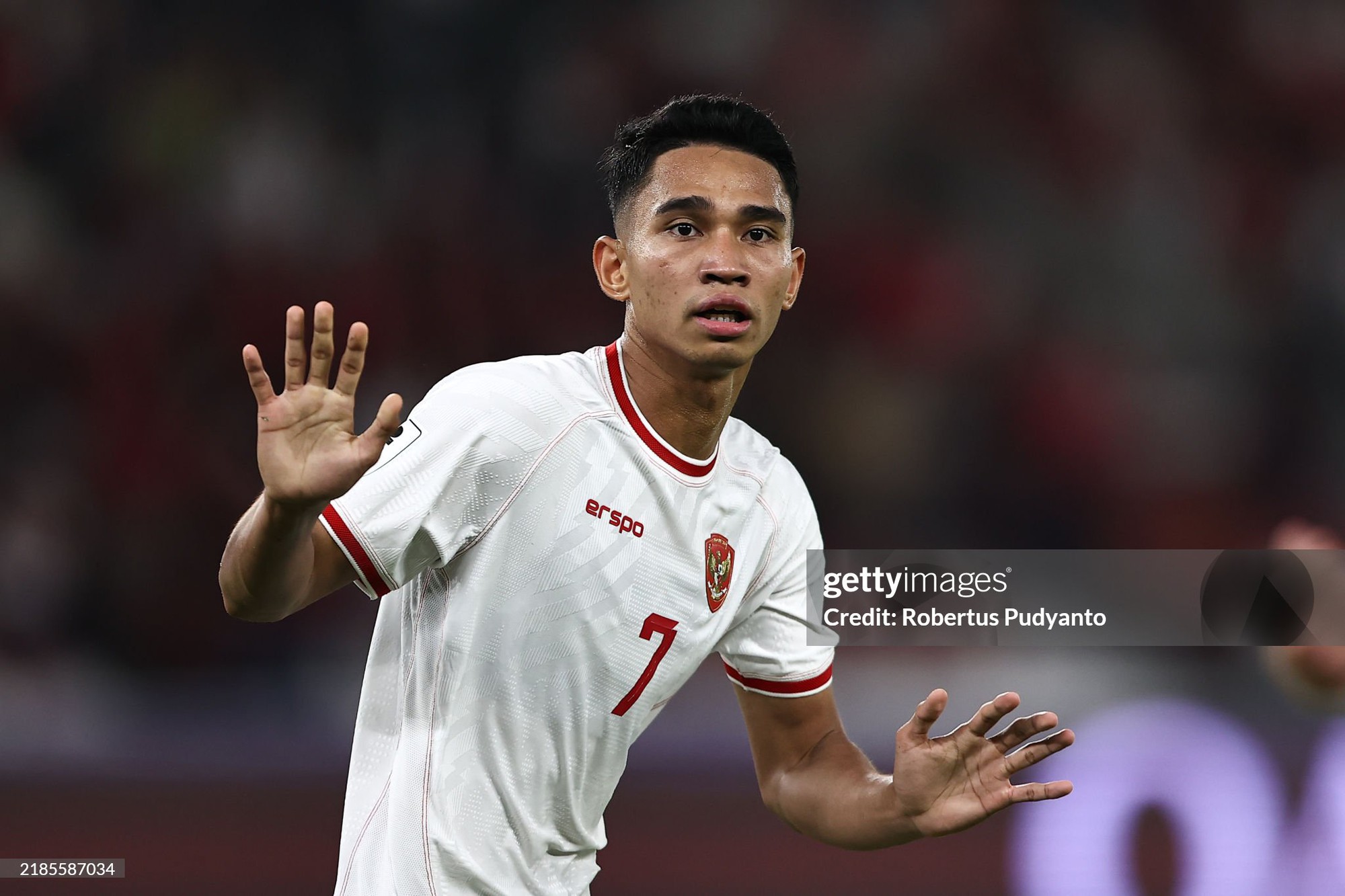 Tuyển Indonesia chốt đội hình sơ bộ cho AFF Cup 2024: HLV Shin Tae-yong gạch tên 12 cầu thủ nhập tịch- Ảnh 2.