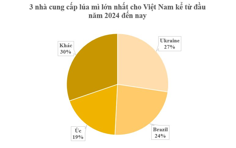 Ukraine mang đến Việt Nam hơn 1 triệu tấn hàng mà thế giới đang khan hiếm: Nhập khẩu tăng mạnh hơn 800%, trở thành nhà cung cấp lớn nhất cho nước ta- Ảnh 2.