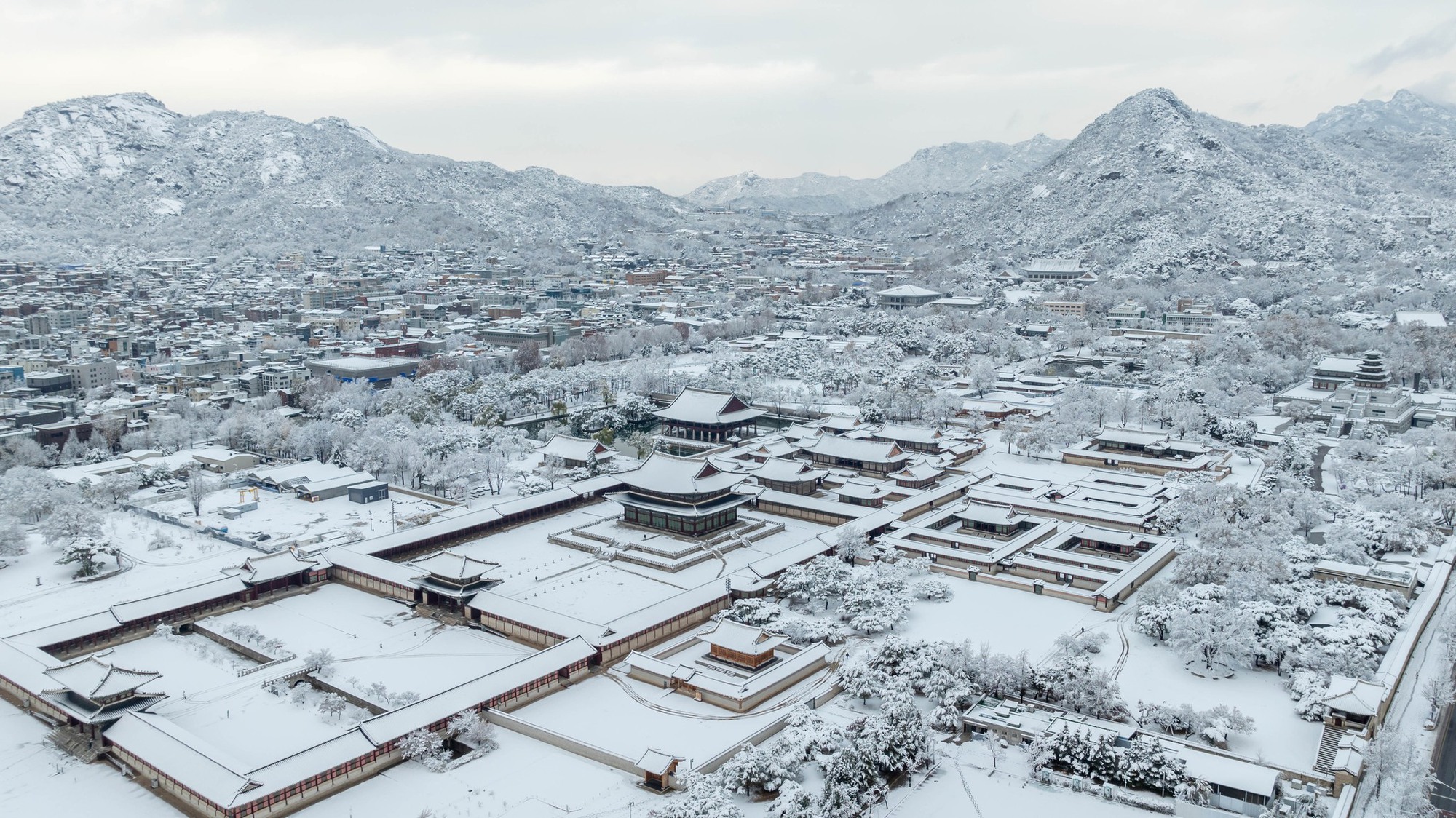 Seoul thành xứ tuyết: Cảnh tượng chưa từng có nhìn từ trên cao- Ảnh 2.