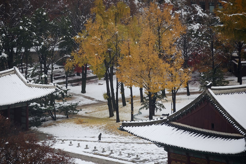 Seoul thành xứ tuyết: Cảnh tượng chưa từng có nhìn từ trên cao- Ảnh 21.