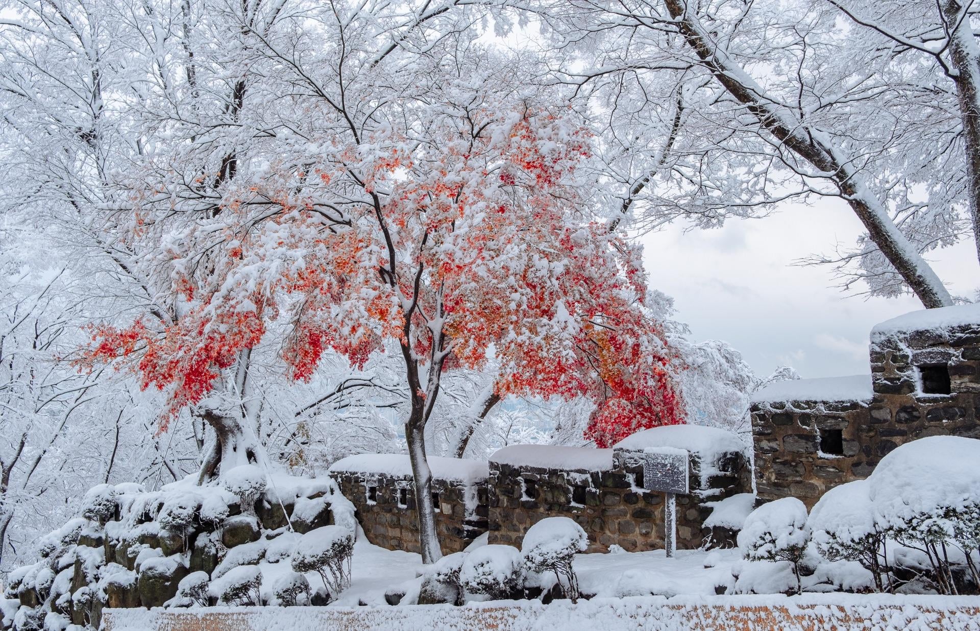 Seoul thành xứ tuyết: Cảnh tượng chưa từng có nhìn từ trên cao- Ảnh 20.