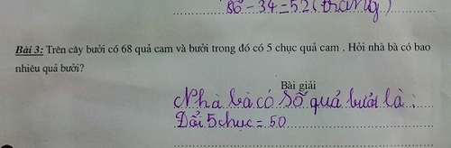 Bài Toán tìm số quả bưởi dễ ẹc, nhắm mắt làm cũng ra nhưng 1 chi tiết bất thường khiến dân tình cười đau ruột- Ảnh 1.