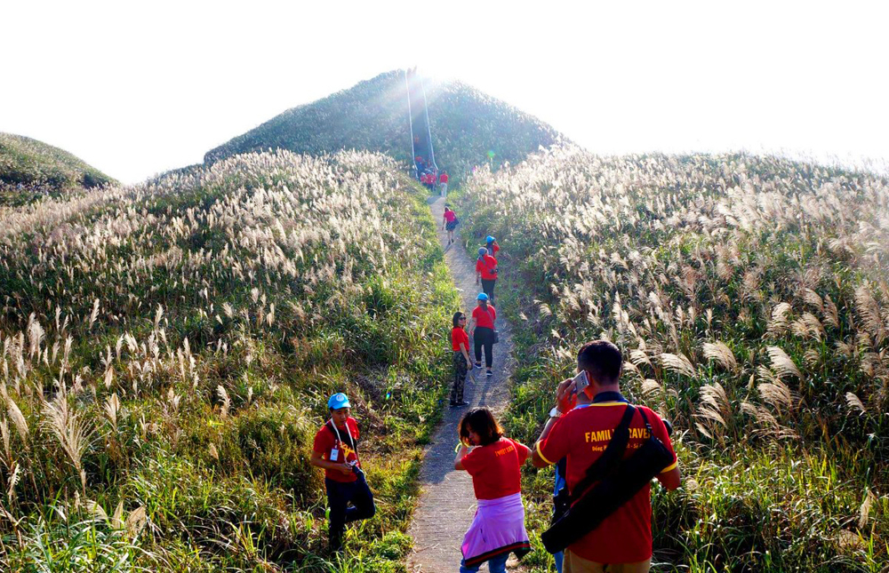 "Thiên đường hạ giới" cách Hà Nội 260km đang hút biển người đến check-in: Du khách leo đồi, dậy từ 3h sáng để ngắm cảnh đẹp mỗi năm một lần- Ảnh 4.