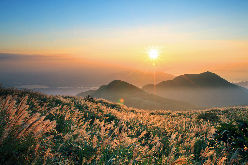 "Thiên đường hạ giới" cách Hà Nội 260km đang hút biển người đến check-in: Du khách leo đồi, dậy từ 3h sáng để ngắm cảnh đẹp mỗi năm một lần- Ảnh 1.