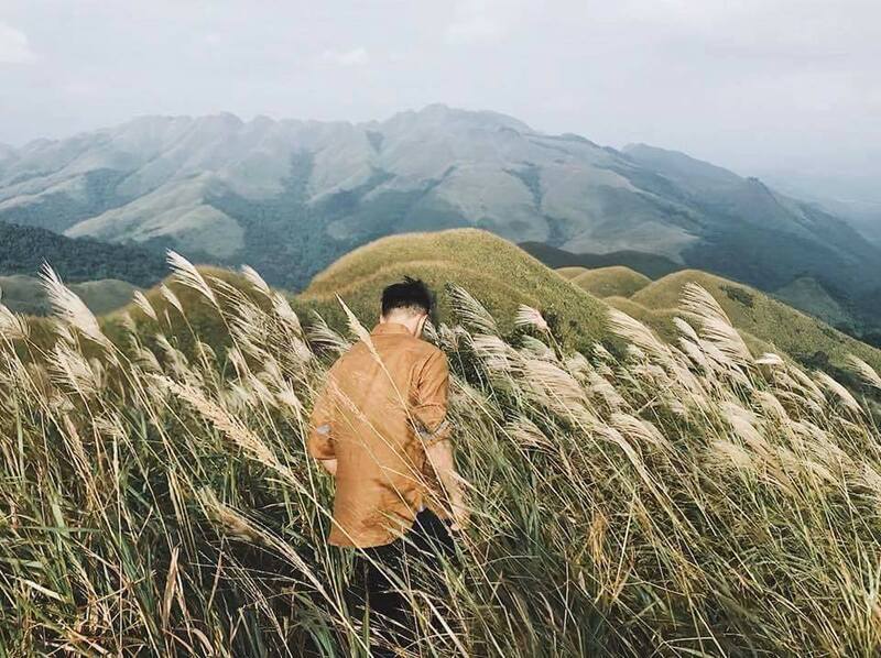 "Thiên đường hạ giới" cách Hà Nội 260km đang hút biển người đến check-in: Du khách leo đồi, dậy từ 3h sáng để ngắm cảnh đẹp mỗi năm một lần- Ảnh 5.