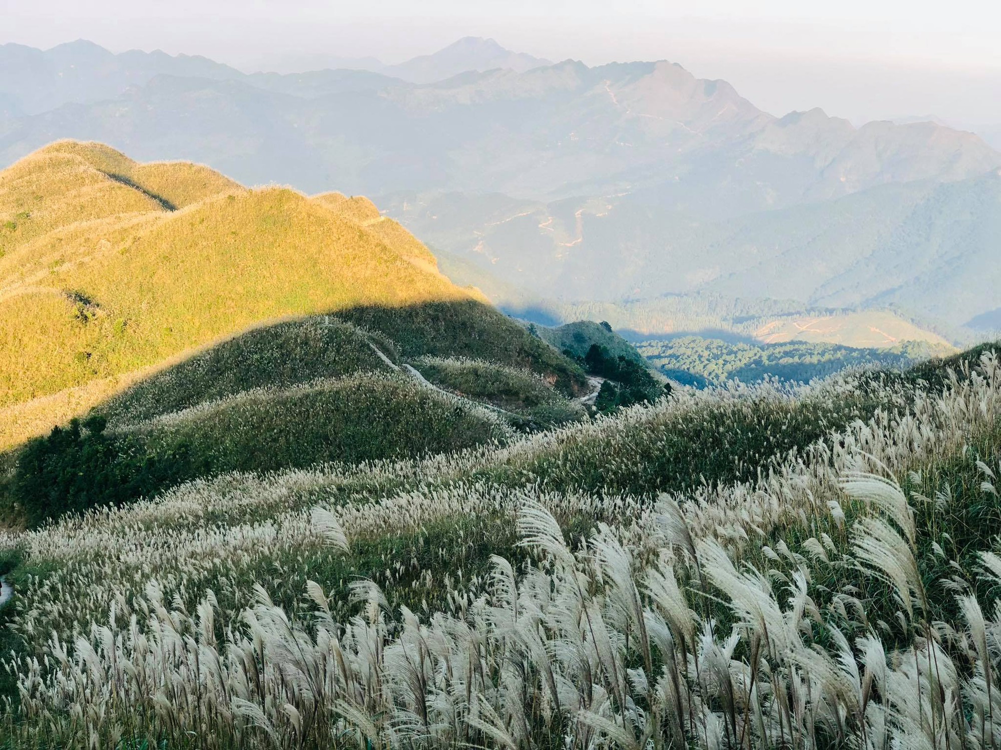 "Thiên đường hạ giới" cách Hà Nội 260km đang hút biển người đến check-in: Du khách leo đồi, dậy từ 3h sáng để ngắm cảnh đẹp mỗi năm một lần- Ảnh 9.