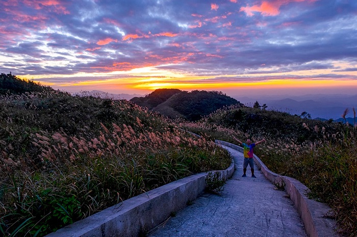 "Thiên đường hạ giới" cách Hà Nội 260km đang hút biển người đến check-in: Du khách leo đồi, dậy từ 3h sáng để ngắm cảnh đẹp mỗi năm một lần- Ảnh 2.