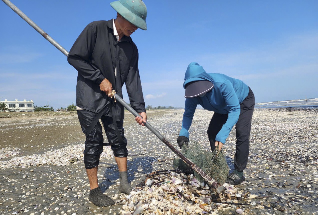 Người dân Hà Tĩnh đổ xô ngâm nước vớt "lộc biển"- Ảnh 4.