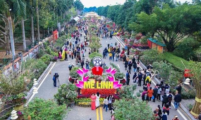 Festival hoa M&ecirc; Linh được tổ chức từ 26 đến 28-12- Ảnh 1.