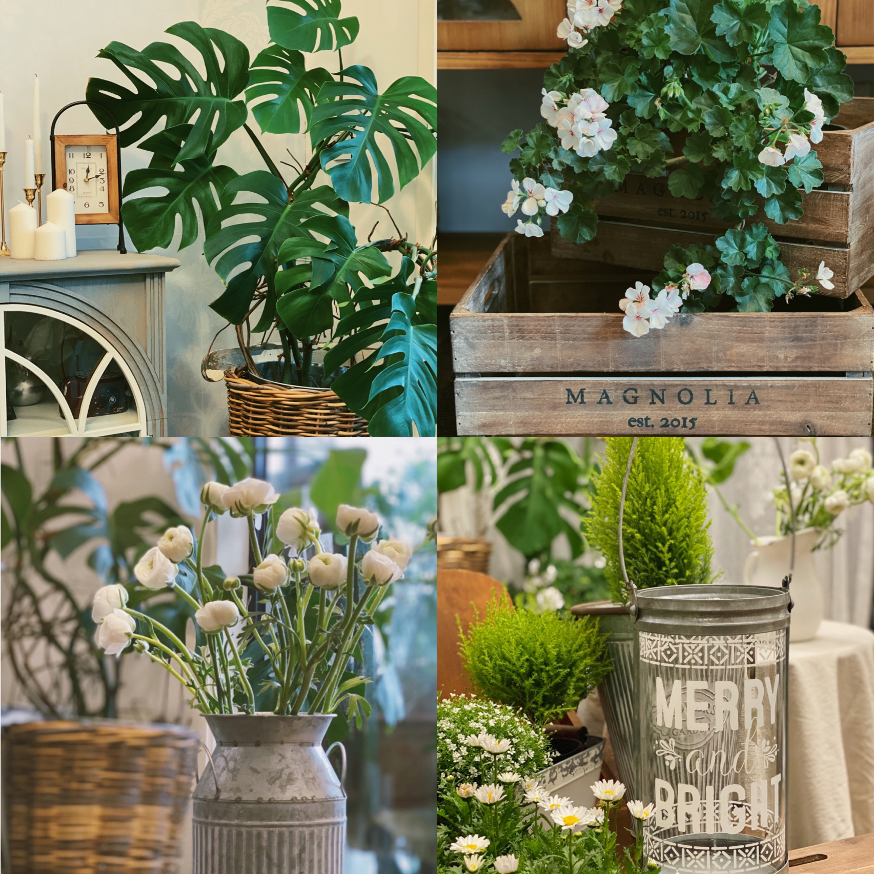 Người phụ nữ trung niên 