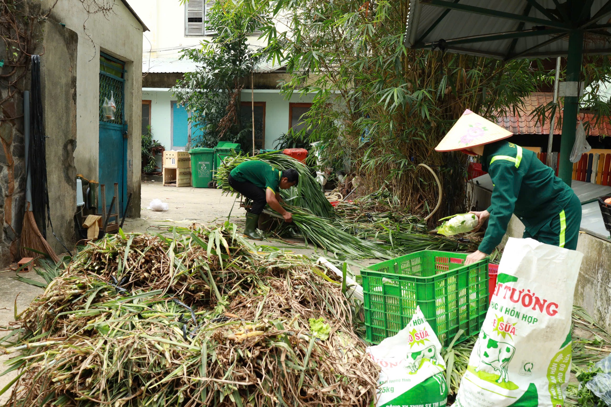 Bữa ăn của đàn thú ra sao trong lúc Thảo Cầm Viên Sài Gòn nợ 800 tỉ đồng?- Ảnh 2.