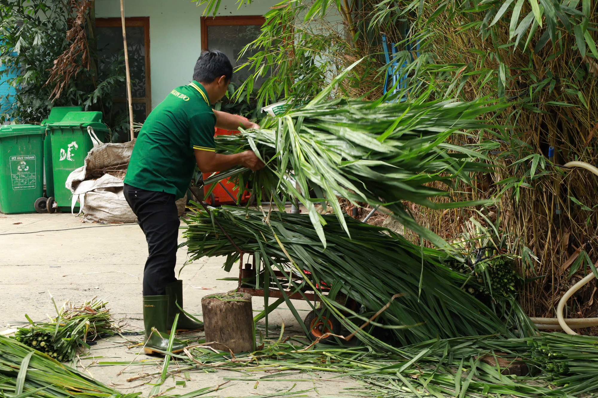 Bữa ăn của đàn thú ra sao trong lúc Thảo Cầm Viên Sài Gòn nợ 800 tỉ đồng?- Ảnh 3.