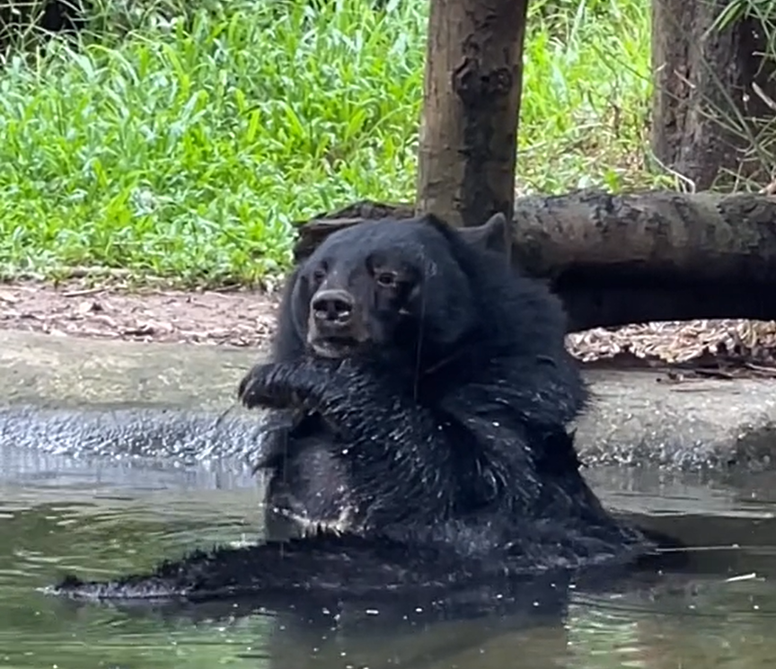 Đã buồn mà đi Phú Quốc còn gặp phải cảnh não lòng tại Safari, sở thú hay thiên đường của những tâm hồn ‘trống vắng”?- Ảnh 5.