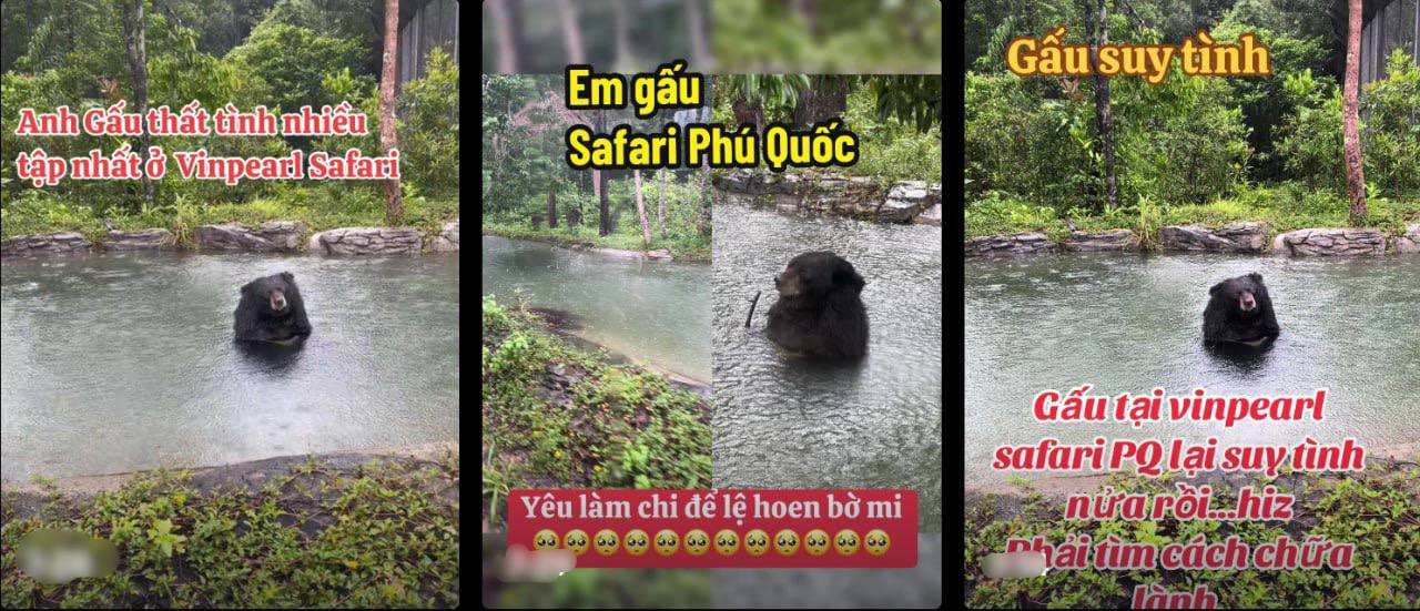 Đã buồn mà đi Phú Quốc còn gặp phải cảnh não lòng tại Safari, sở thú hay thiên đường của những tâm hồn ‘trống vắng”?- Ảnh 2.