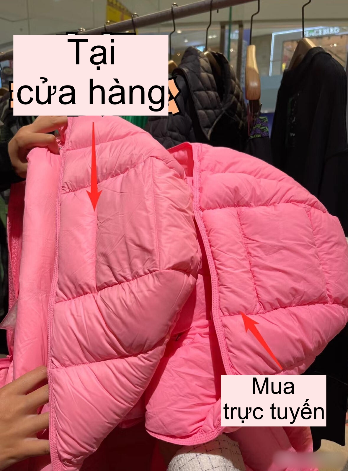 Cùng 1 chiếc áo khoác lông vũ, mua online và mua tại cửa hàng truyền thống có gì khác biệt?- Ảnh 3.