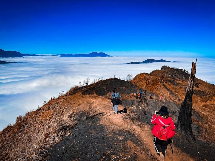 Vi vu 'nóc nhà' Y Tý, ngắm trọn tuyệt tác hoàng hôn trên đỉnh núi cao hơn 2.500m- Ảnh 2.