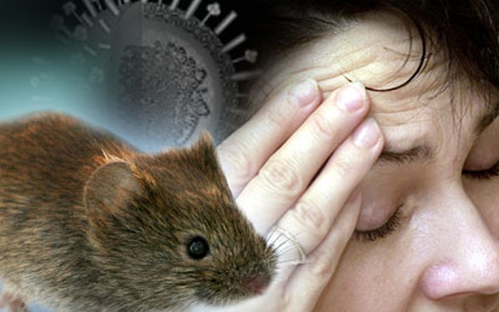 300 ống chứa virus nguy hiểm chết người ở Australia là những virus gây bệnh gì?- Ảnh 5.