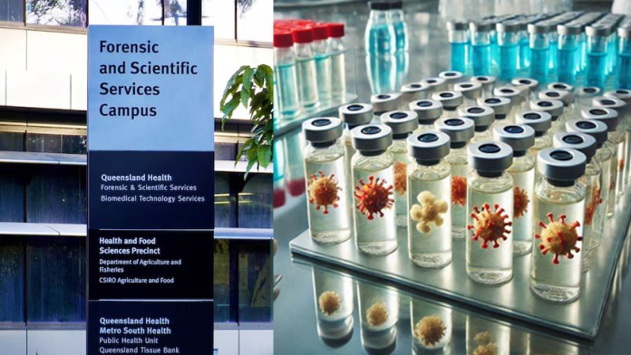 300 ống chứa virus nguy hiểm chết người ở Australia là những virus gây bệnh gì?- Ảnh 1.