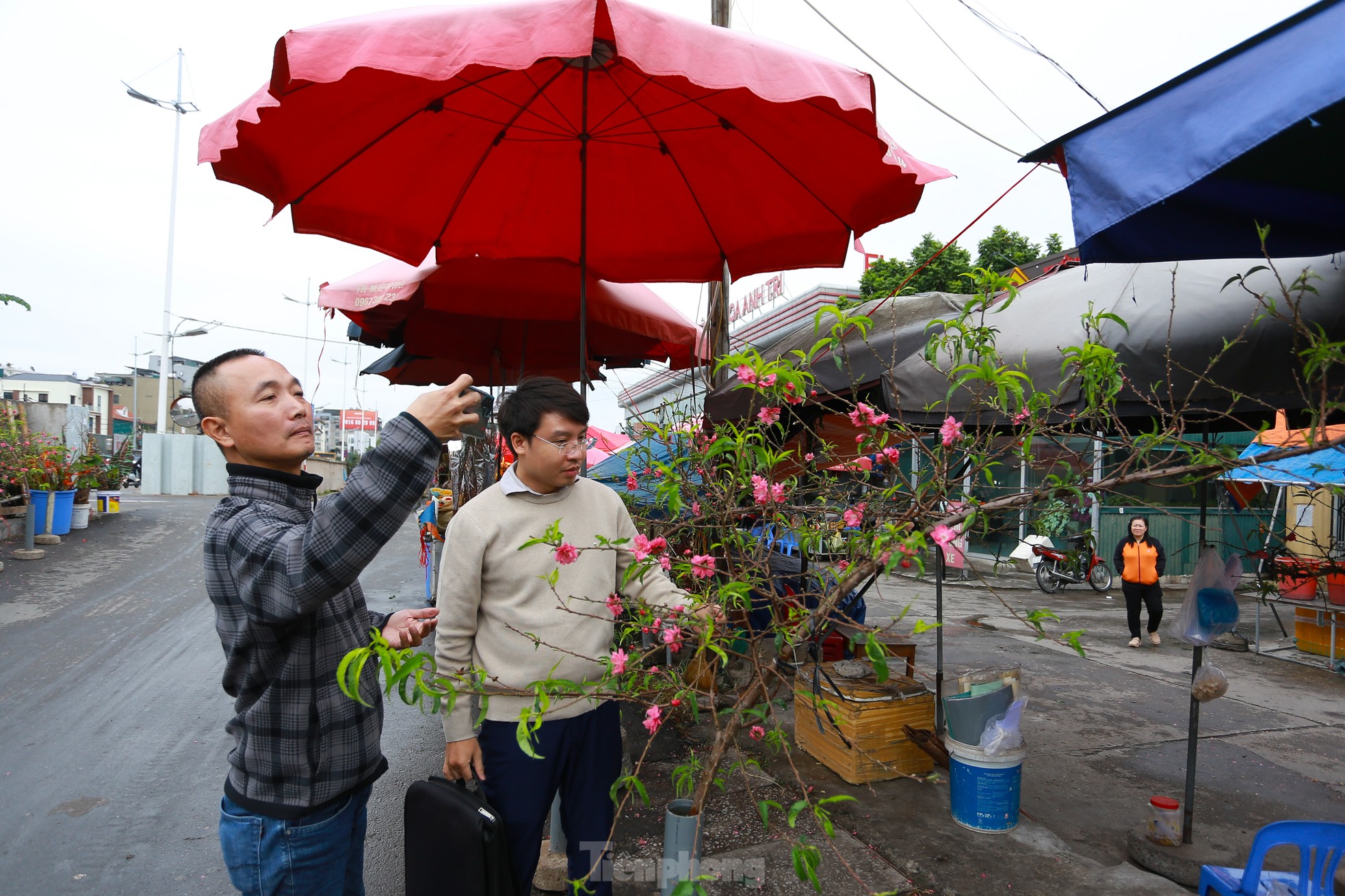 Đ&agrave;o, quất xuống phố mang kh&ocirc;ng kh&iacute; Tết đến sớm với người d&acirc;n Thủ đ&ocirc;- Ảnh 8.