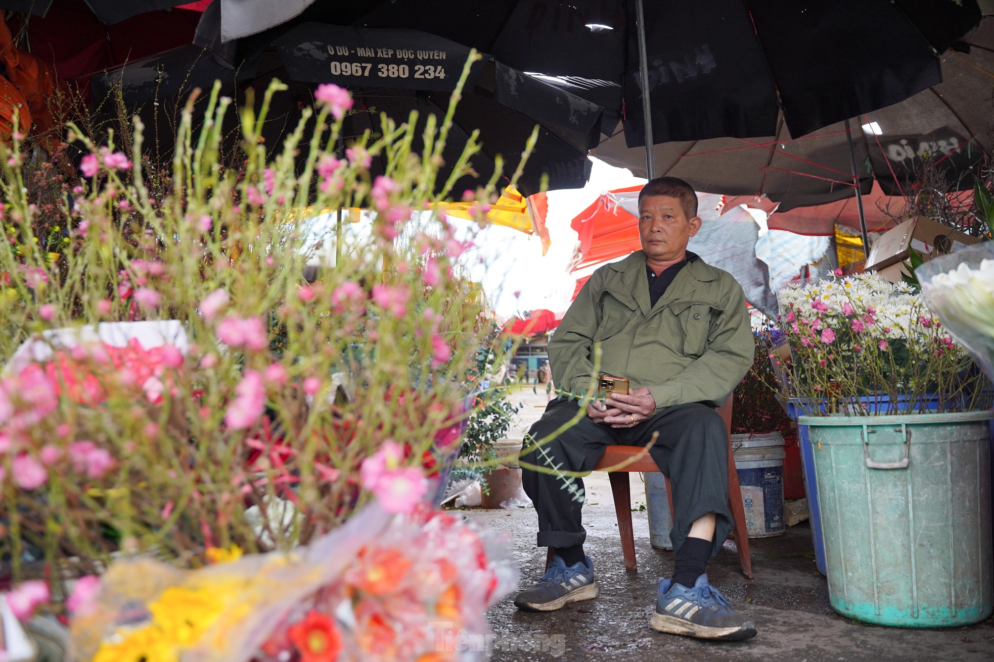 Đ&agrave;o, quất xuống phố mang kh&ocirc;ng kh&iacute; Tết đến sớm với người d&acirc;n Thủ đ&ocirc;- Ảnh 3.