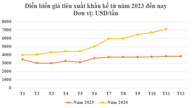 Một loại nông sản thế giới đang lên cơn khát nhưng Việt Nam sở hữu hơn 100.000 ha: Mỹ, Đức liên tục chốt đơn, nước ta là ông trùm xuất khẩu toàn cầu- Ảnh 2.