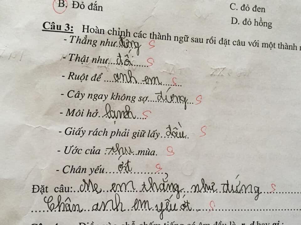 "Bê" mẹ và anh trai vào bài tập đặt câu, học sinh tiểu học tạo nên thành quả khiến ai nấy cười ná thở- Ảnh 1.