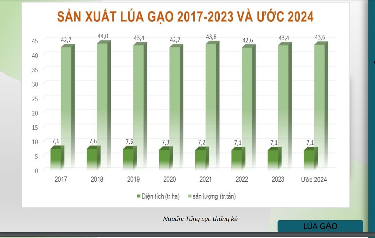 Giải mã kỷ lục xuất khẩu gạo khó tin của Việt Nam- Ảnh 2.