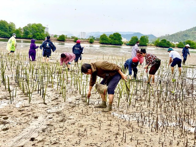 Vì sao nhiều nơi ở Nha Trang ngập nặng?- Ảnh 3.