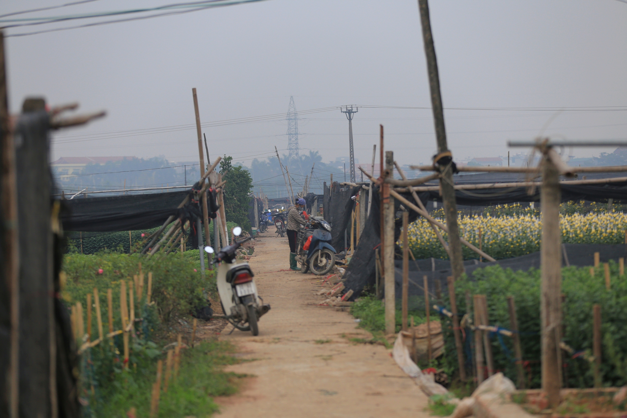 Hà Nội: Người dân Tây Tựu chong đèn xuyên đêm, "không cho hoa ngủ" chờ mong Tết- Ảnh 2.