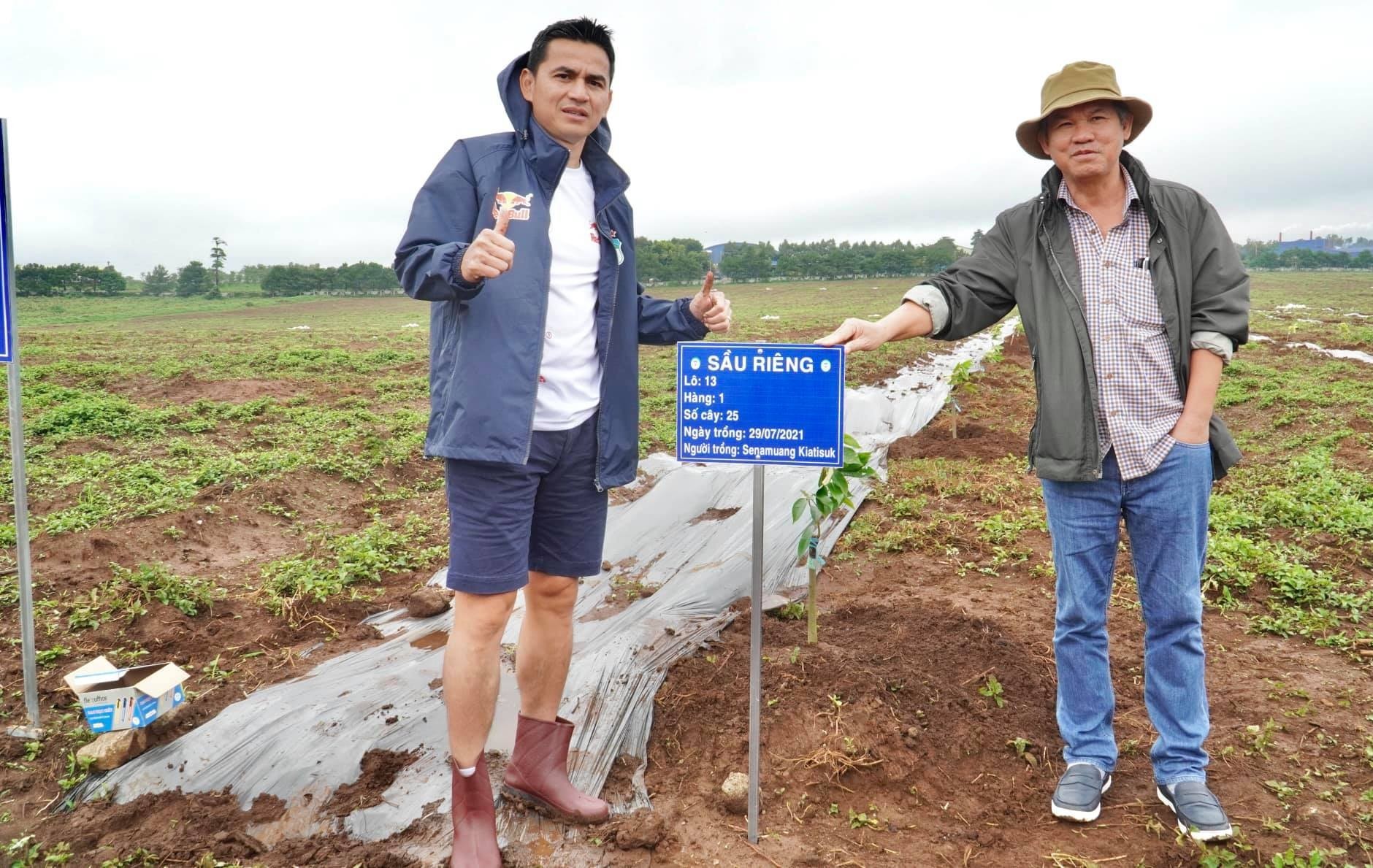 Loại quả 'bán giá nào cũng lãi' quá hot, bầu Đức sắp tăng gấp đôi diện tích trồng, dự kiến bội thu hàng nghìn tỷ đồng- Ảnh 2.